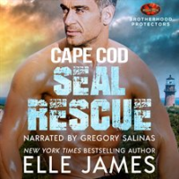 Cape_Cod_SEAL_Rescue